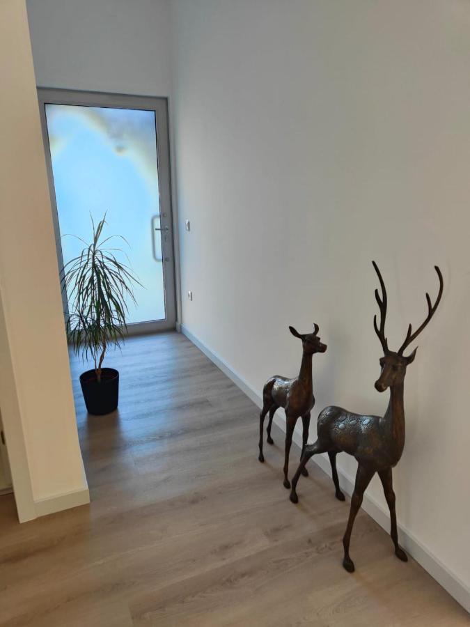 Quinta De Basto House 호텔 펠게이라스 외부 사진