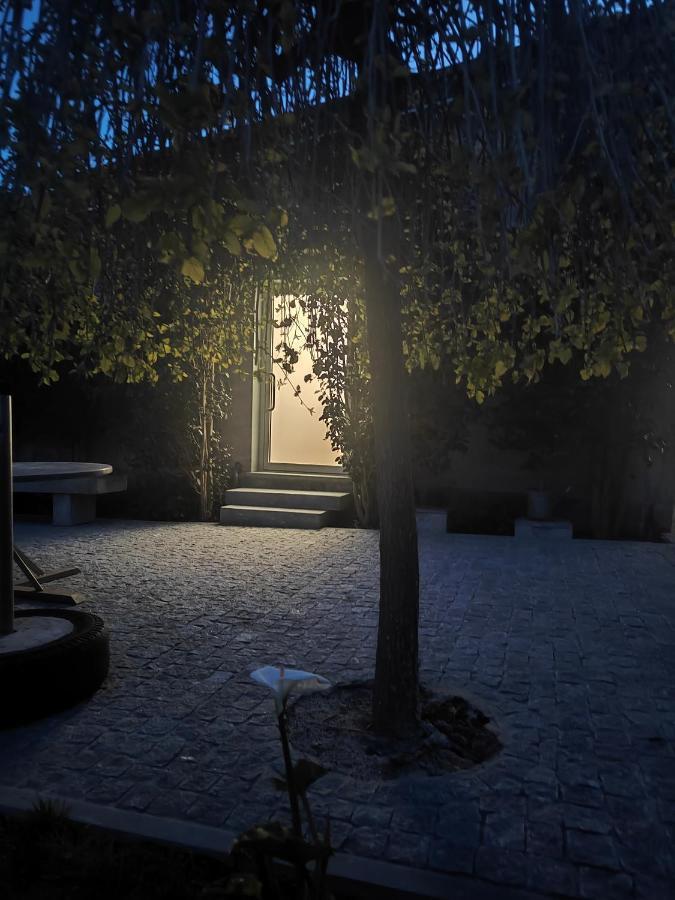 Quinta De Basto House 호텔 펠게이라스 외부 사진